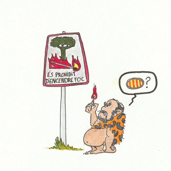 S'ha de tenir un coeficient mental molt limitat per encendre un foc, cremar un b...