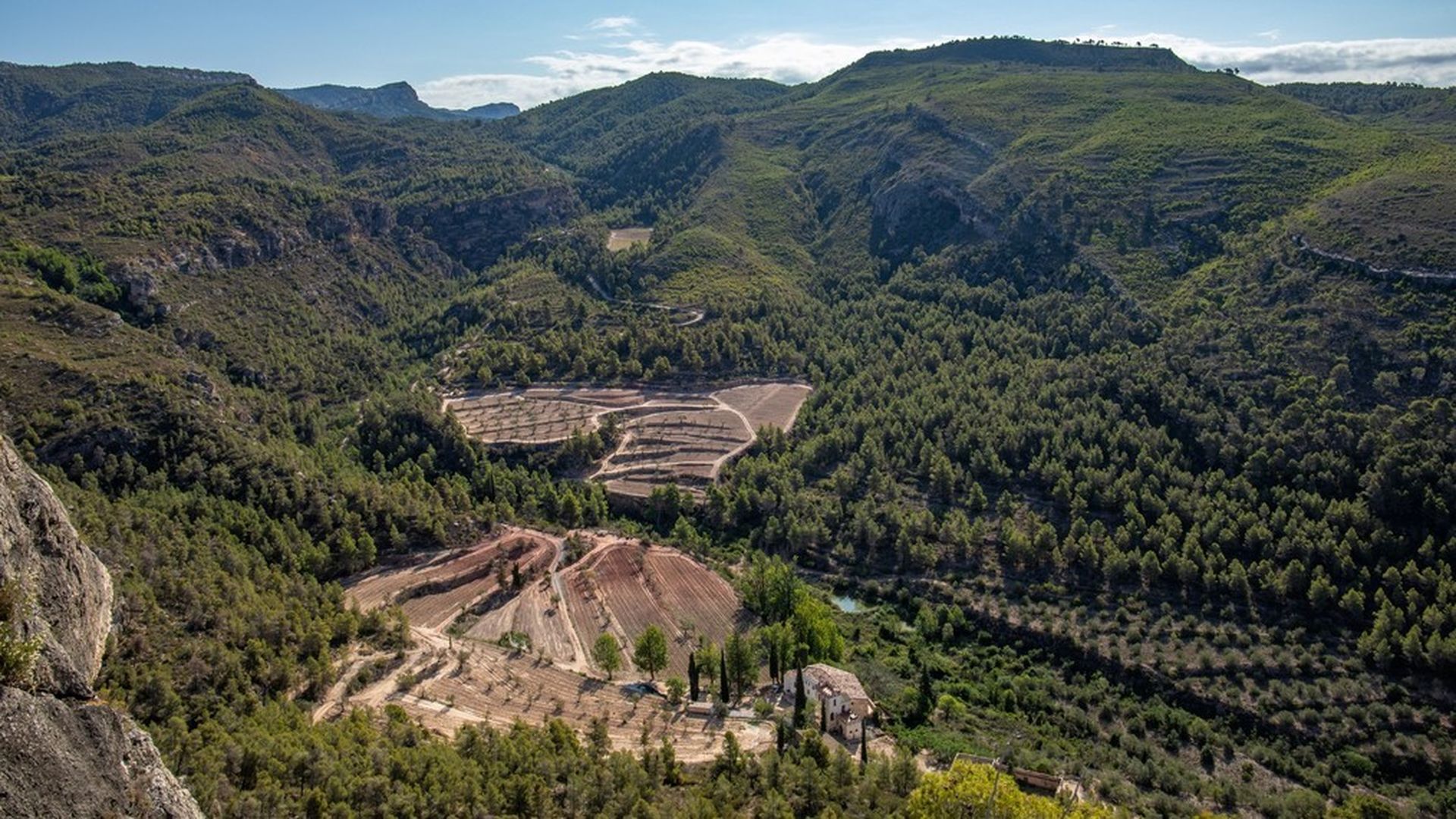 Al Priorat es busquen les vinyes del futur
